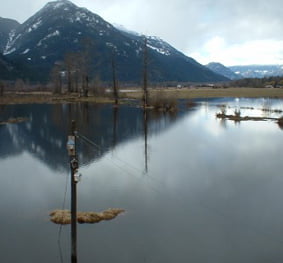 Arn Canal Drainage Improvements Study