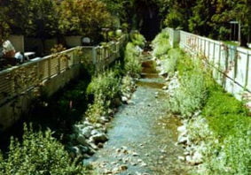 Daylighting Thain Creek