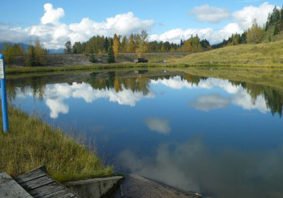 Michel Creek Stream Bank Protection
