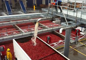 Ocean Spray Canada Cranberry Receiving Facility Water Systems