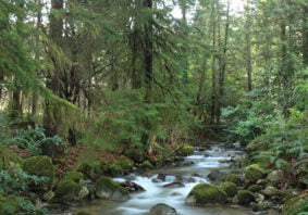 Partington Creek IWMP