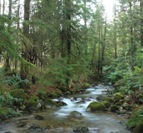 Partington Creek IWMP