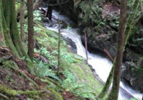 Patricia Creek Hydro Power Development