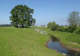 Reay Creek Enhancement