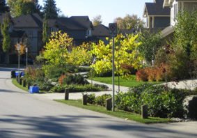 Silver Maples Subdivision Rain Garden & Retention Facilities
