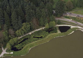 Stanley Park Stormwater Treatment Wetland
