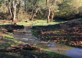 TenTen Creek Sediment Reduction and Rehabilitation