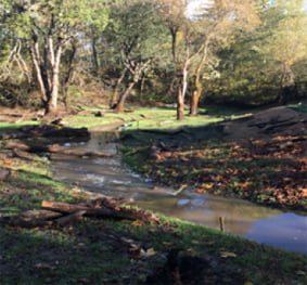 TenTen Creek Sediment Reduction and Rehabilitation