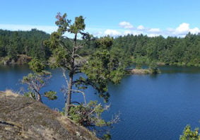 Thetis Lake Dams – Breach Analysis and Inundation Mapping