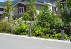 Thunderbird Subdivision On-Lot & Roadside Source Controls