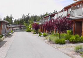 Wakefield Beach Roads and Site Services