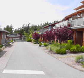 Wakefield Beach Roads and Site Services