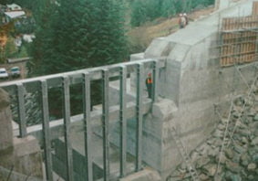 Whistler Creek Management & Debris Barriers