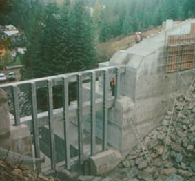 Whistler Creek Management & Debris Barriers