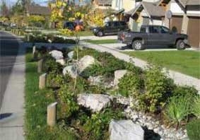 Stormwater Rain Gardens 102 – Top 10 Implementation and Maintenance Considerations
