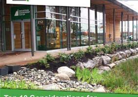 Top Ten Design Considerations for Rain Gardens