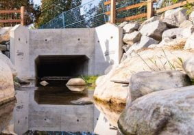 Kilmer Creek Daylighting and Culvert Replacement