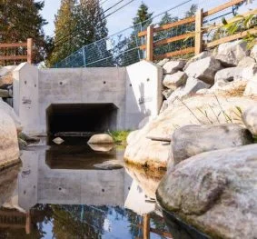 Kilmer Creek Daylighting and Culvert Replacement