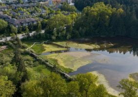 Shoreline Trail Sanitary Sewer Upgrades