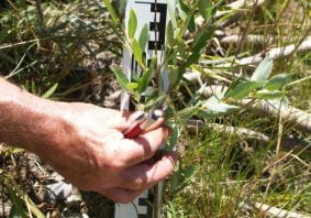 Calgary Riparian Monitoring Program