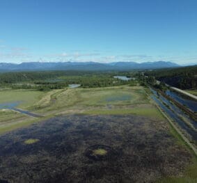 Bummers Flats Wetland Restoration