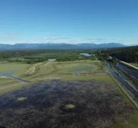 Bummers Flats Wetland Restoration